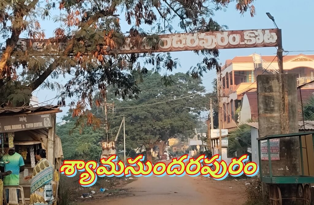 ఓ పంచాయతీ సారూ..మా కాలనీలో దోమలు మందు కొట్టండి సారూ..