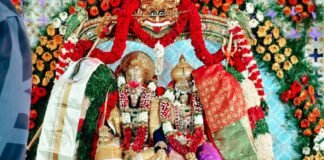 అంగరంగ వైభవంగా శివపార్వతుల కళ్యాణం